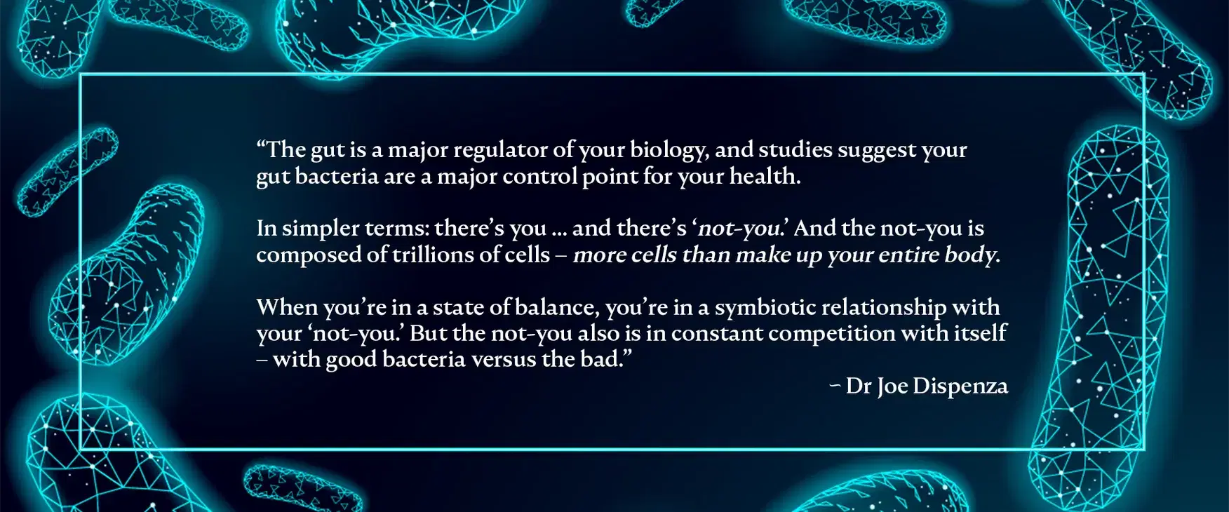 Exciting Early Findings from Our QUANTUM Research Study