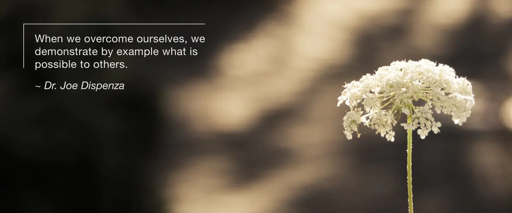 Everybody Dies, But Not Everybody Lives