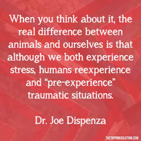 What We Can Learn from Animals