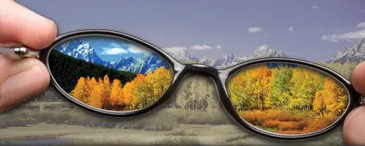 You are the Placebo: Psychosomatic Blindness