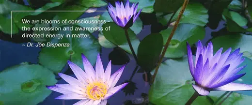 United in Blooms of Consciousness