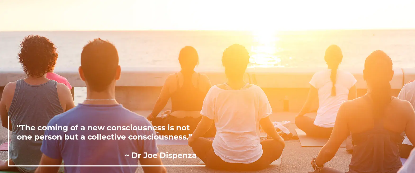 Reality Is Determined by Collective Networks of Observers