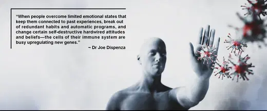 Your Brain and the Immune System