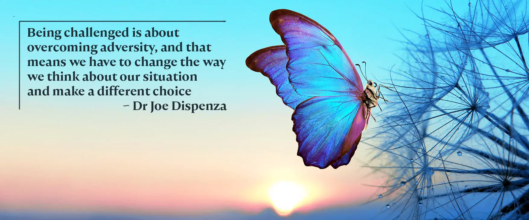 End of the Year Review - And What a Year It Was