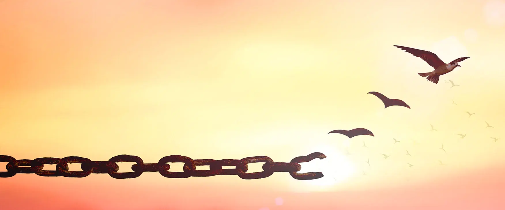 Forgiving the Past to Create the Future