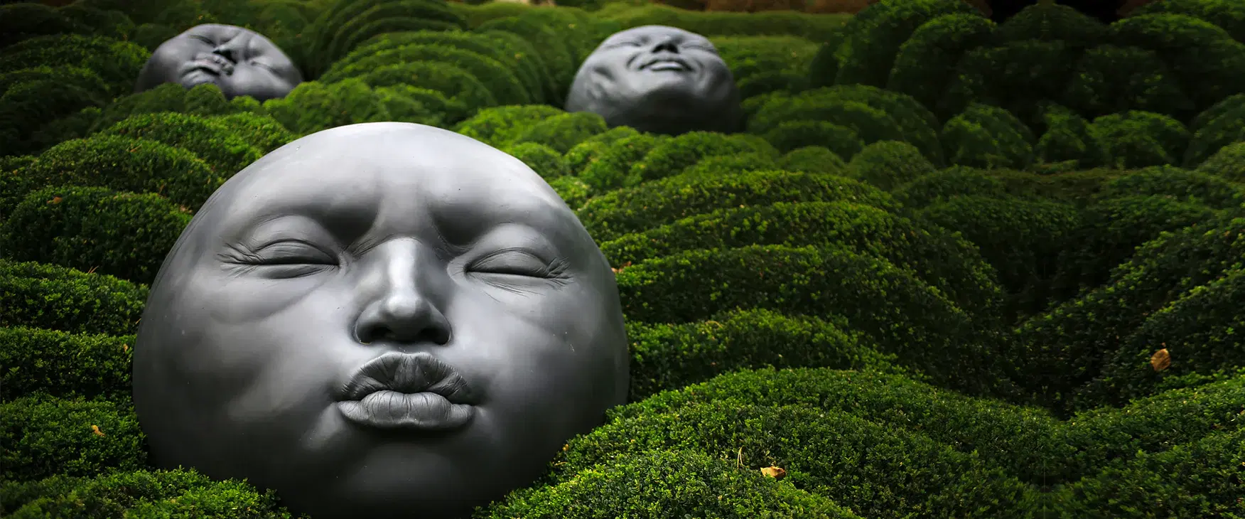 Emotions Are Not Your Enemy: Part I