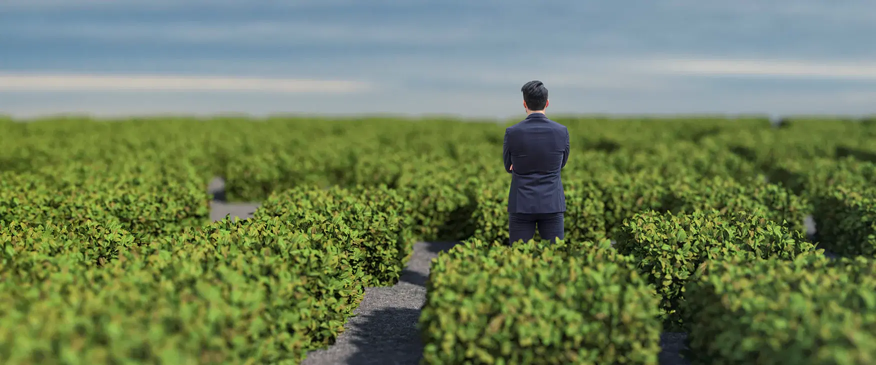 Emotions Are Not Your Enemy: Part II