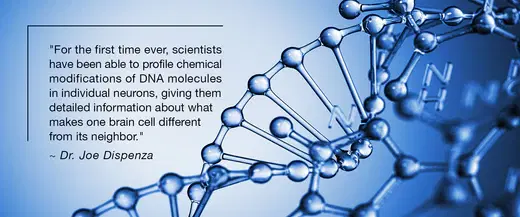 What's the Gray in our Gray Matter?