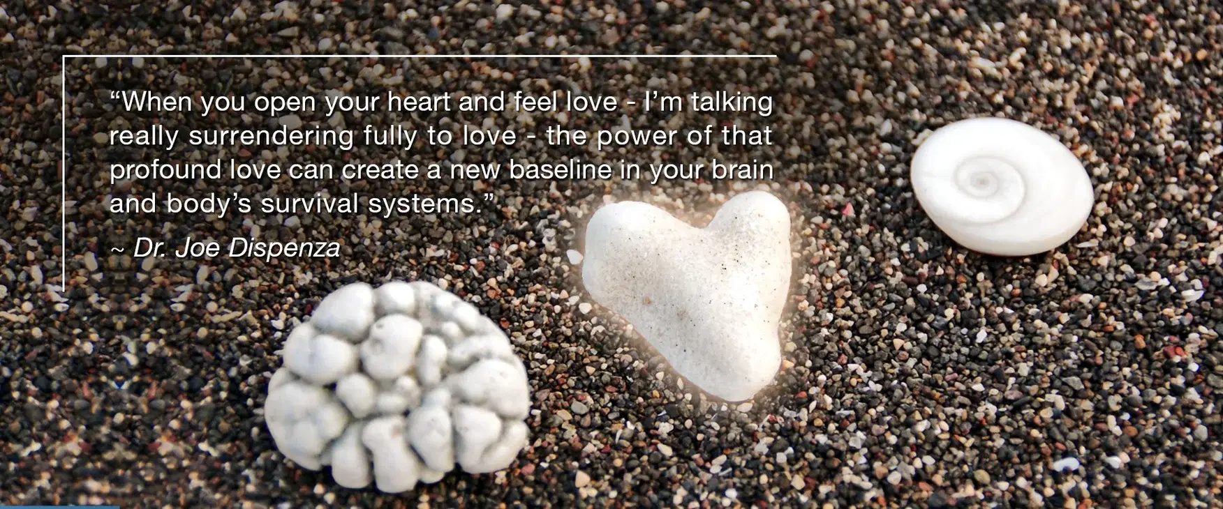 Creating a New Baseline of Love Begins in the Heart
