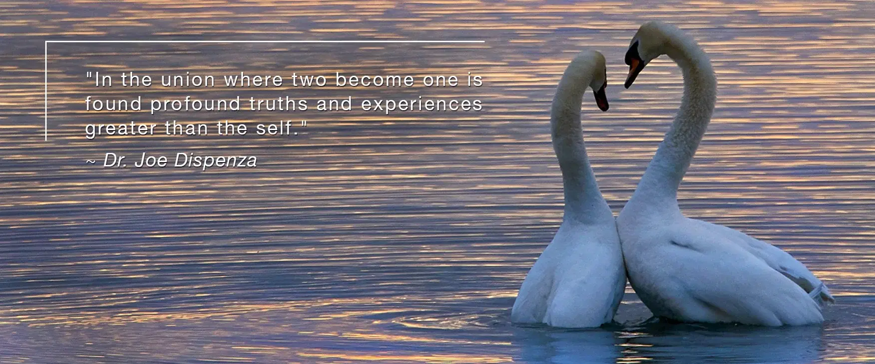 A Divine Love Affair