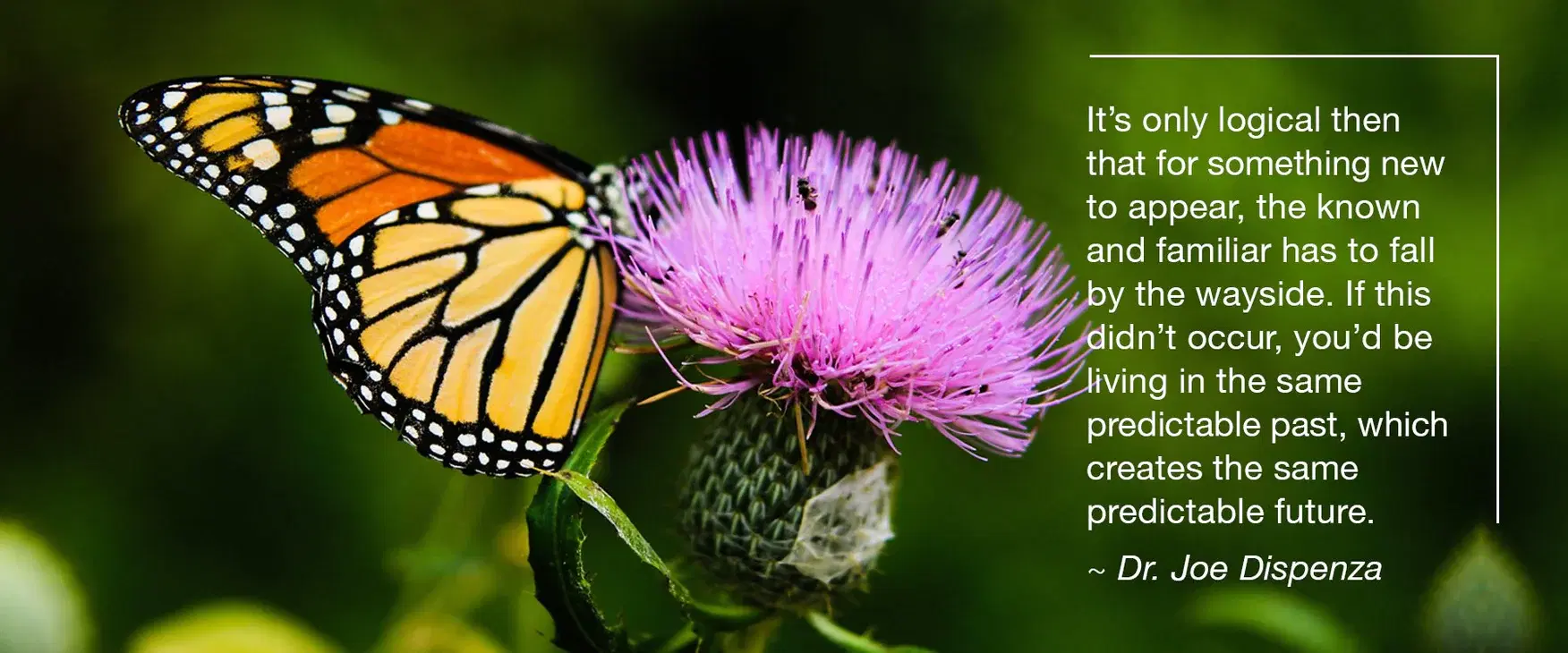 How To Become That Which We Are Seeking