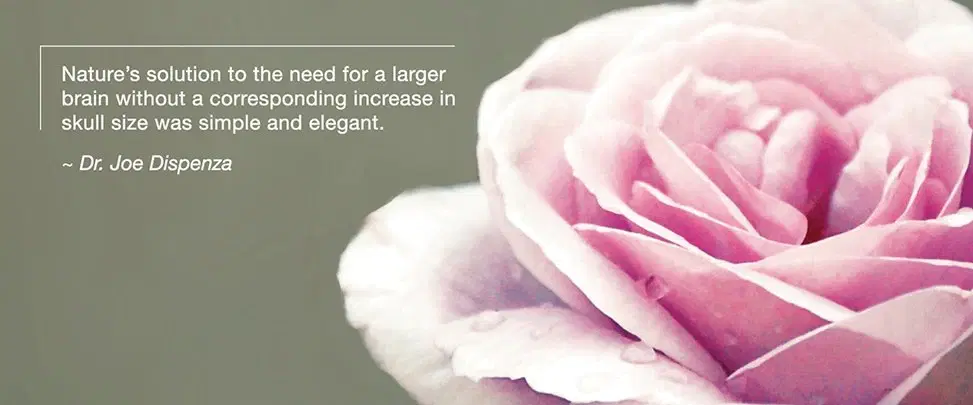 The Greatest Unsolved Mystery—Evolution